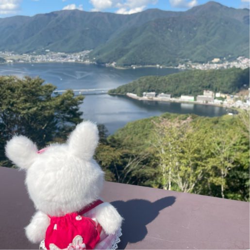 ぬい撮り写真