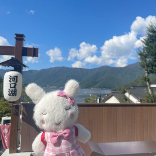 ぬい撮り写真