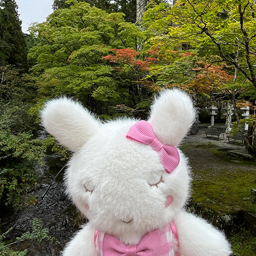 ぬい撮り写真
