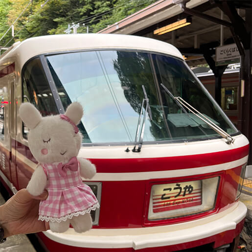 ぬい撮り写真