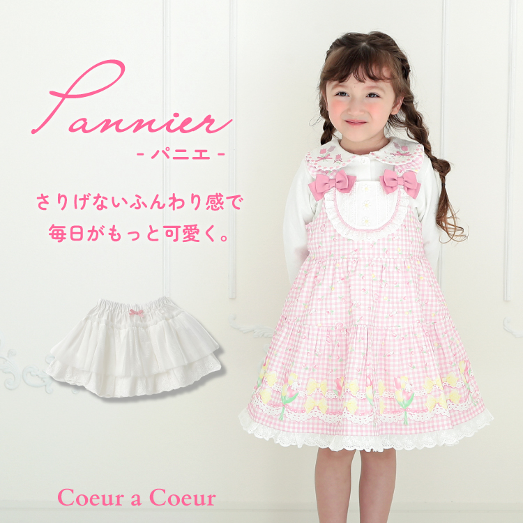 /img/goods_top/250/cc/250_cc_pannier.jpg